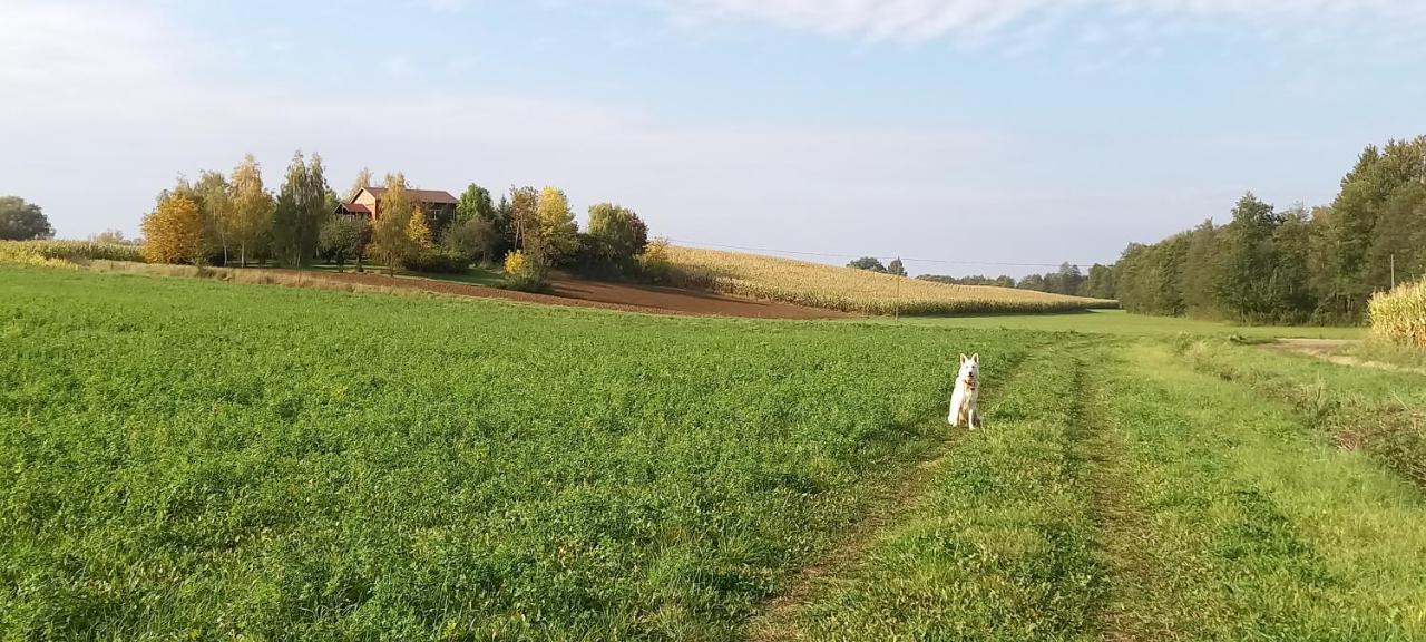 Dom Goscinny Lerka - 240 M2 Mazury Jeziora Lasy Lakorz Εξωτερικό φωτογραφία