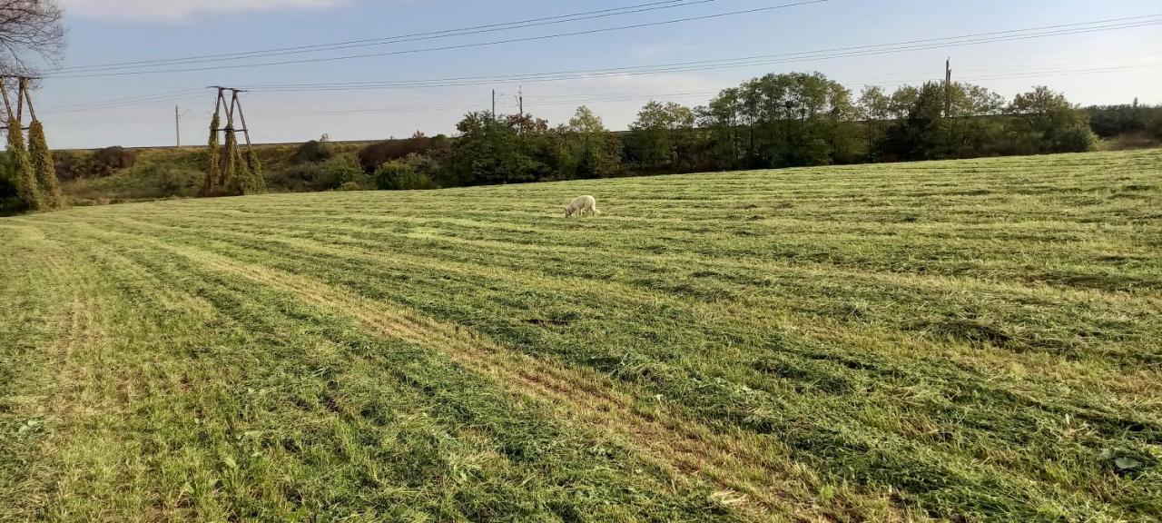 Dom Goscinny Lerka - 240 M2 Mazury Jeziora Lasy Lakorz Εξωτερικό φωτογραφία